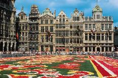 Pohlednice z Flander - Brusel - květinový koberec